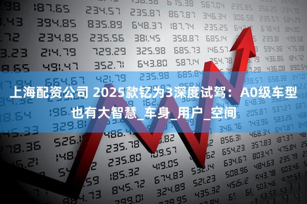 上海配资公司 2025款钇为3深度试驾：A0级车型也有大智慧_车身_用户_空间