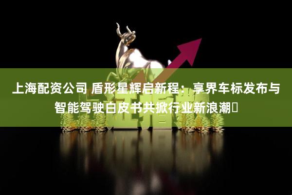 上海配资公司 盾形星辉启新程：享界车标发布与智能驾驶白皮书共掀行业新浪潮​