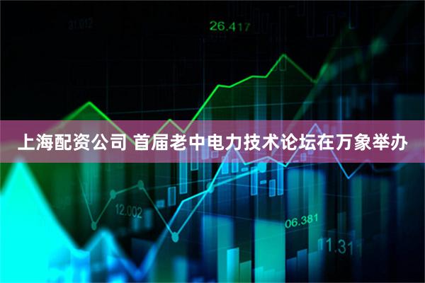 上海配资公司 首届老中电力技术论坛在万象举办