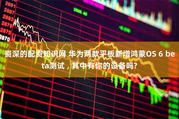 资深的配资知识网 华为两款平板新增鸿蒙OS 6 beta测试 , 其中有你的设备吗?