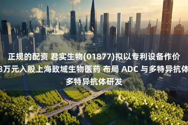 正规的配资 君实生物(01877)拟以专利设备作价5308万元入股上海致域生物医药 布局 ADC 与多特异抗体研发
